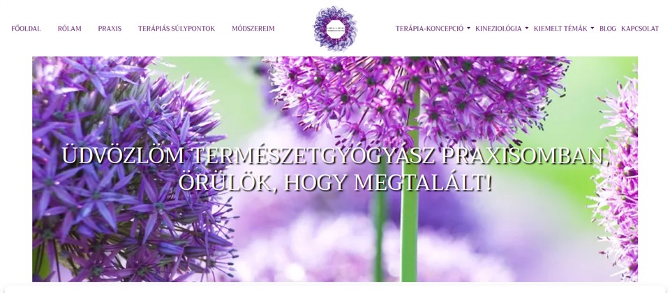A(z) gerlachbeata.hu nyitóképe